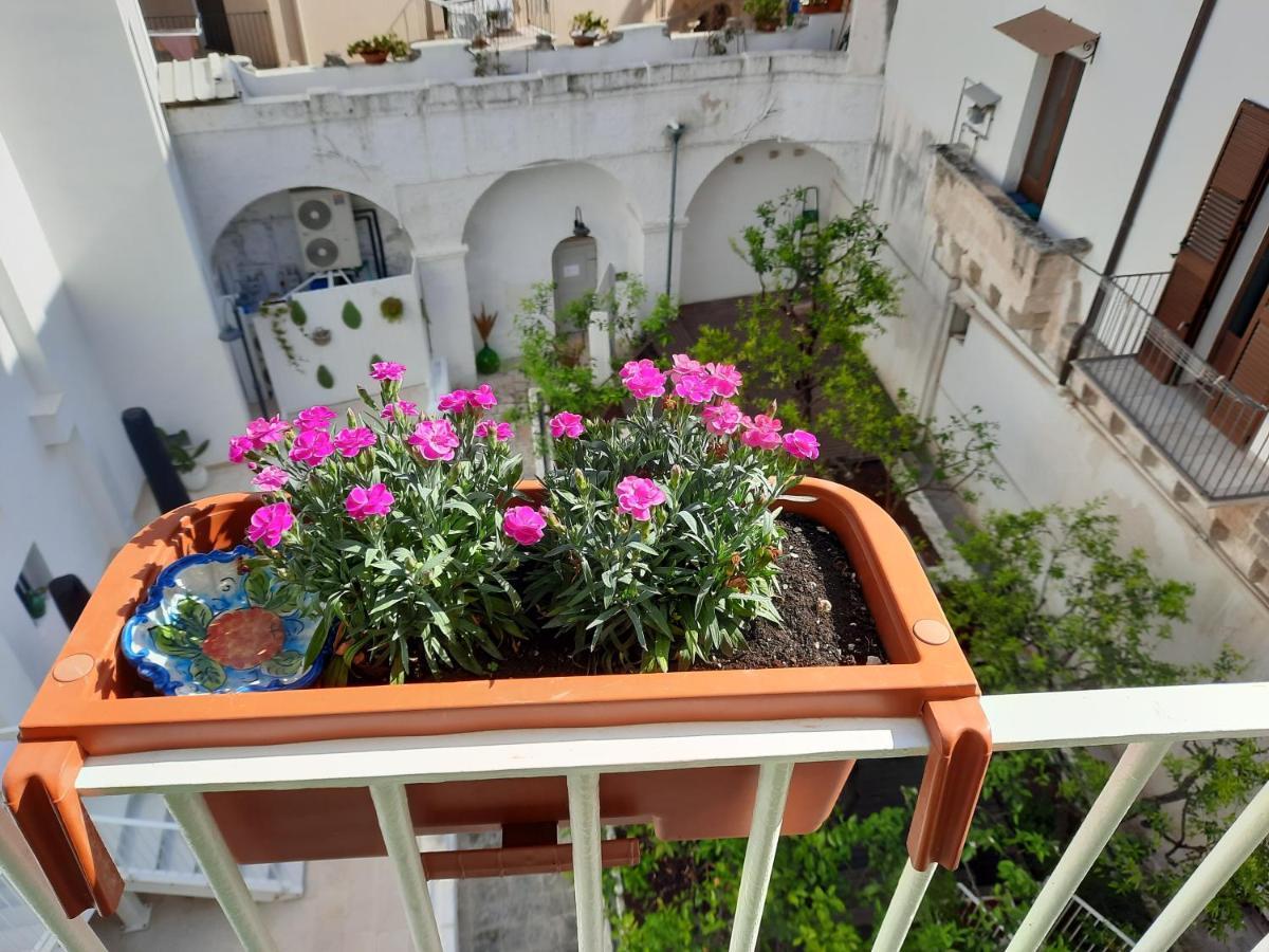 مونوبولي B&B Ninedda المظهر الخارجي الصورة